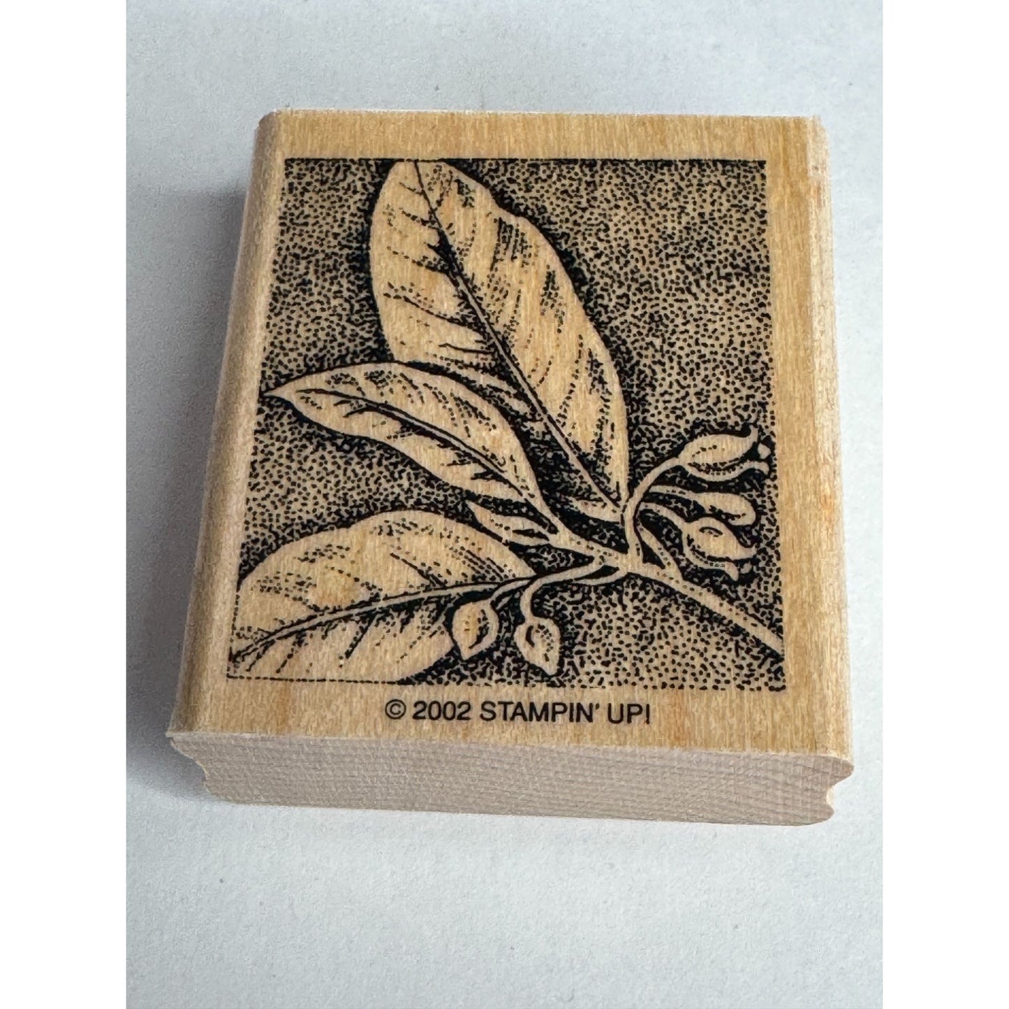 Stampin Up Rubber Stamp Sweet Pea Flower Plant Leaf Nature Garden Card Making