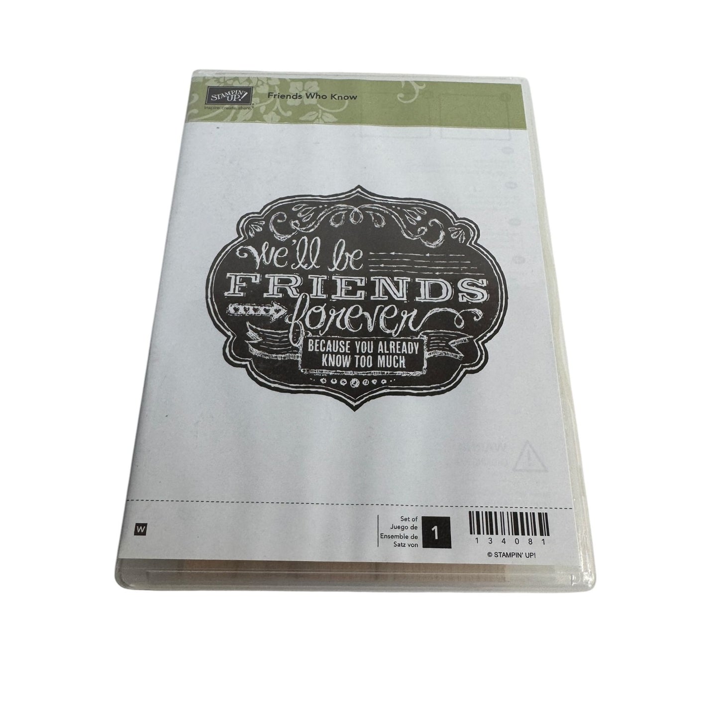 Stampin Up Rubber Stamp Friendship Card Making Words Funny Friends Know Too Much