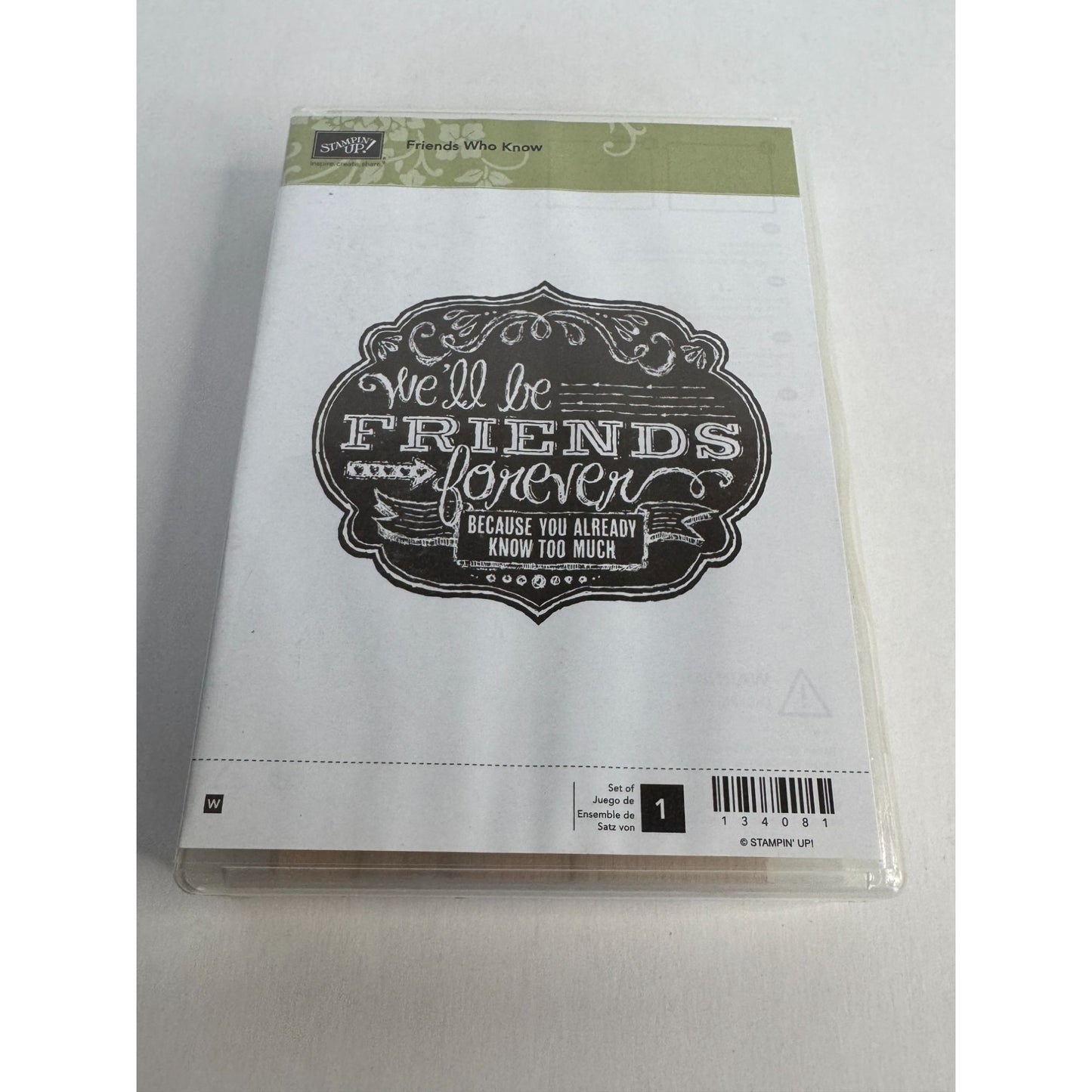 Stampin Up Rubber Stamp Friendship Card Making Words Funny Friends Know Too Much