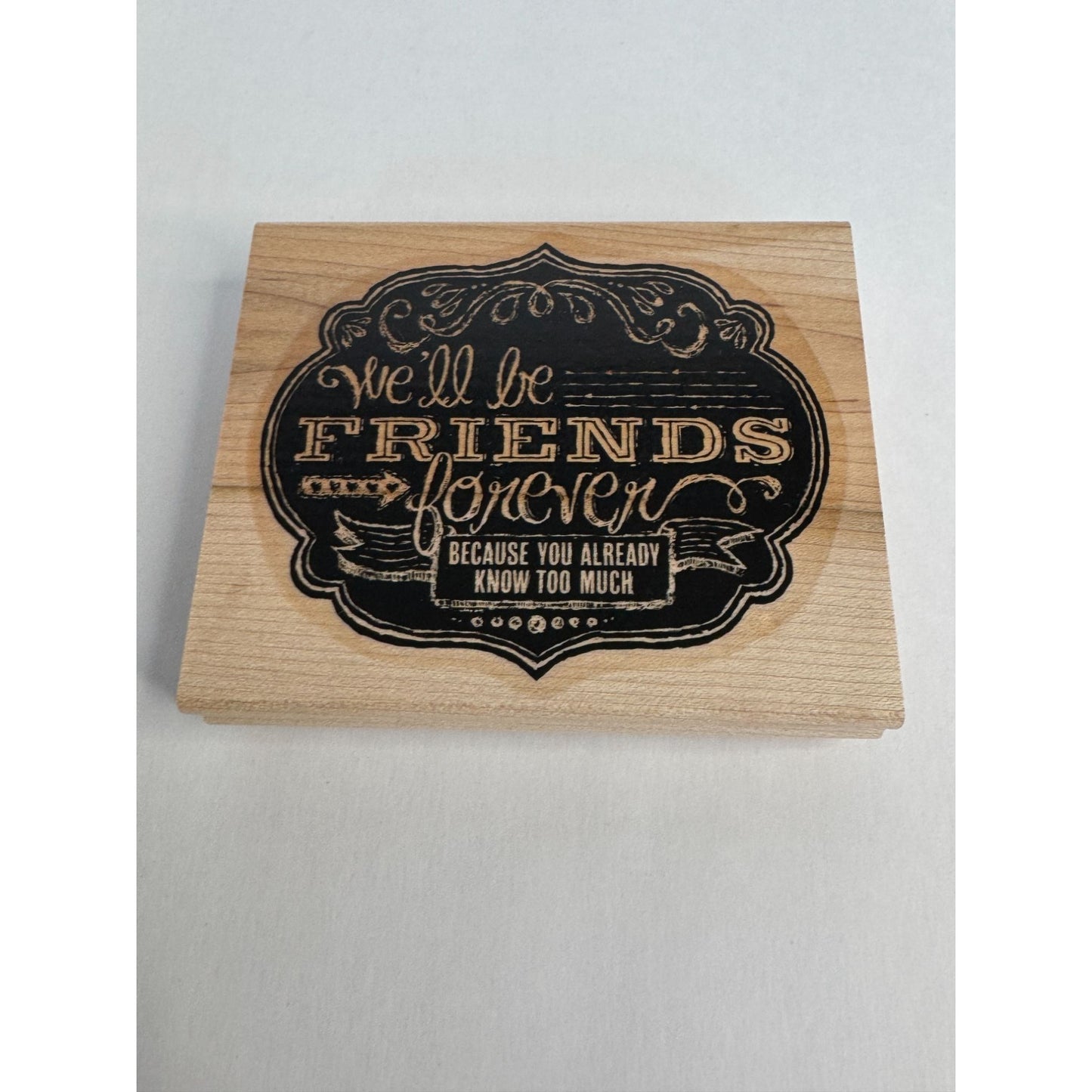 Stampin Up Rubber Stamp Friendship Card Making Words Funny Friends Know Too Much