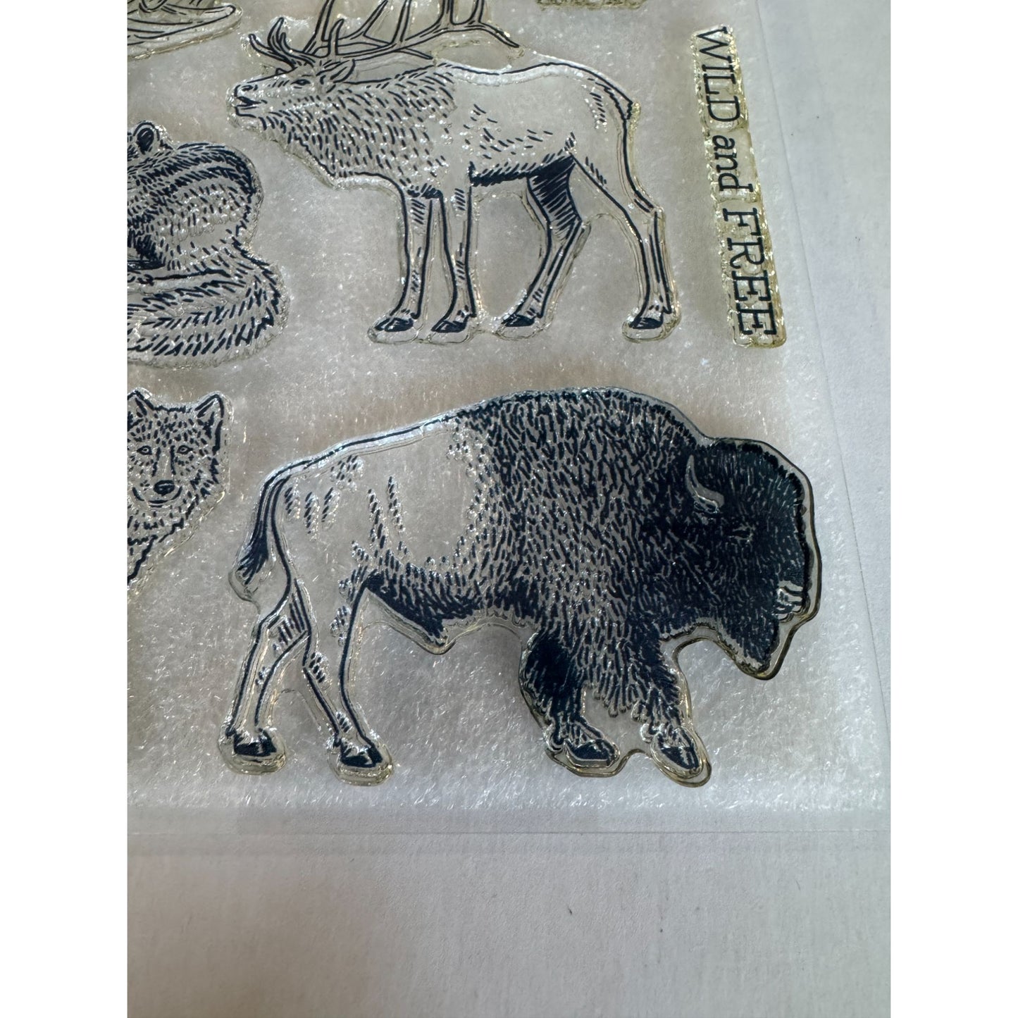 Close To My Heart Acrylic Stamps Wild and Free Animals Buffalo Camp My Acrylix