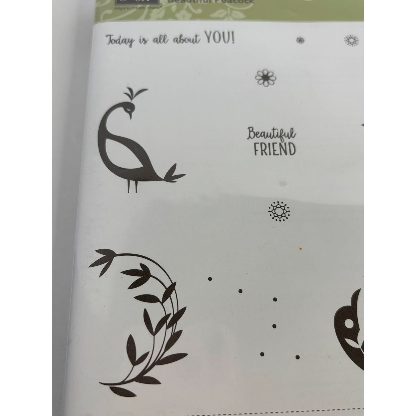 Stampin Up Acrylic Stamp Set Beautiful Peacock Feather Swirl Today is about You