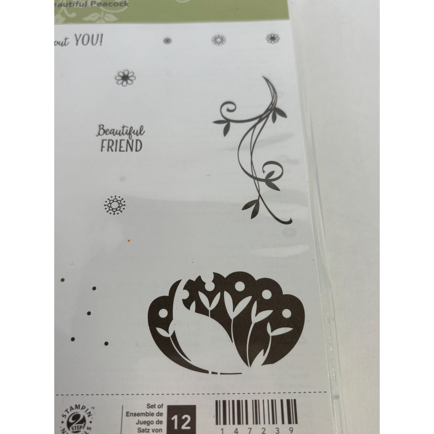 Stampin Up Acrylic Stamp Set Beautiful Peacock Feather Swirl Today is about You