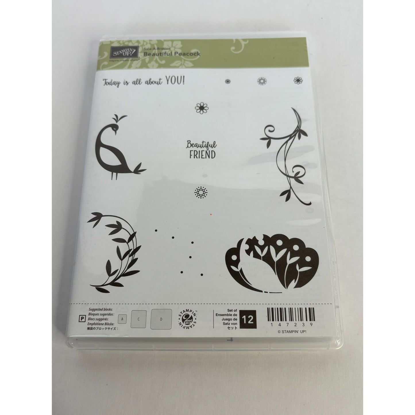 Stampin Up Acrylic Stamp Set Beautiful Peacock Feather Swirl Today is about You