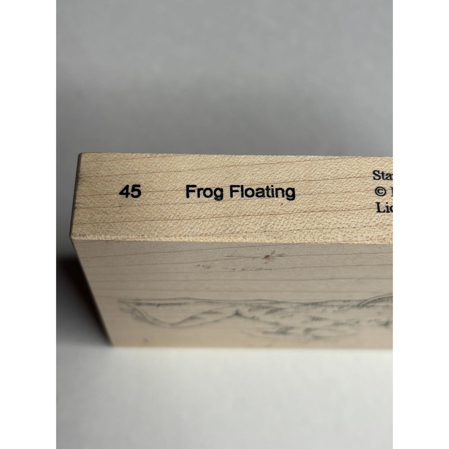 House Mouse Rubber Stamp Frog Floating Stampa Rosa Funny Friendship Card Making