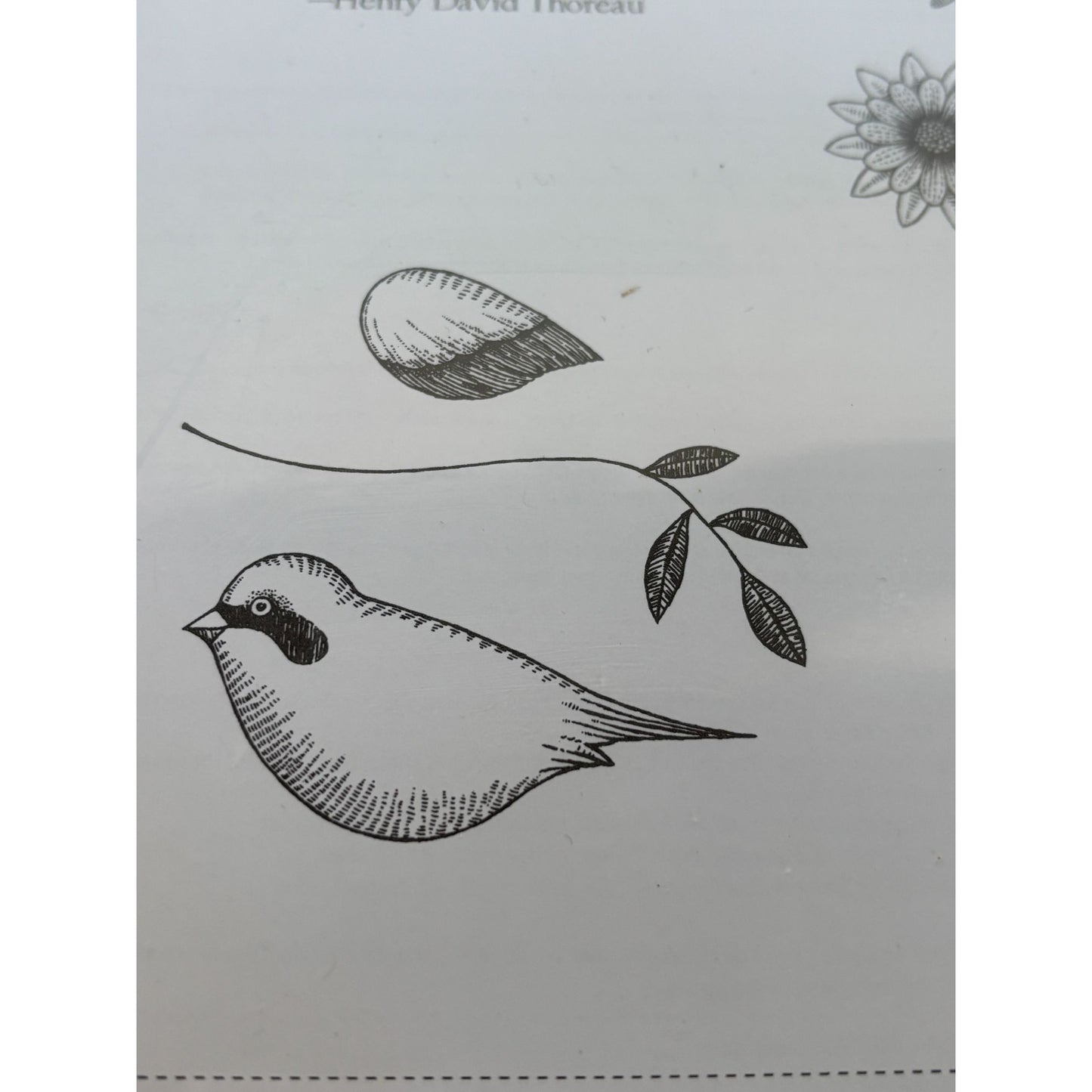 Stampin Up Language of Friendship Clear Mount Rubber Stamps Bird Thoreau Quote