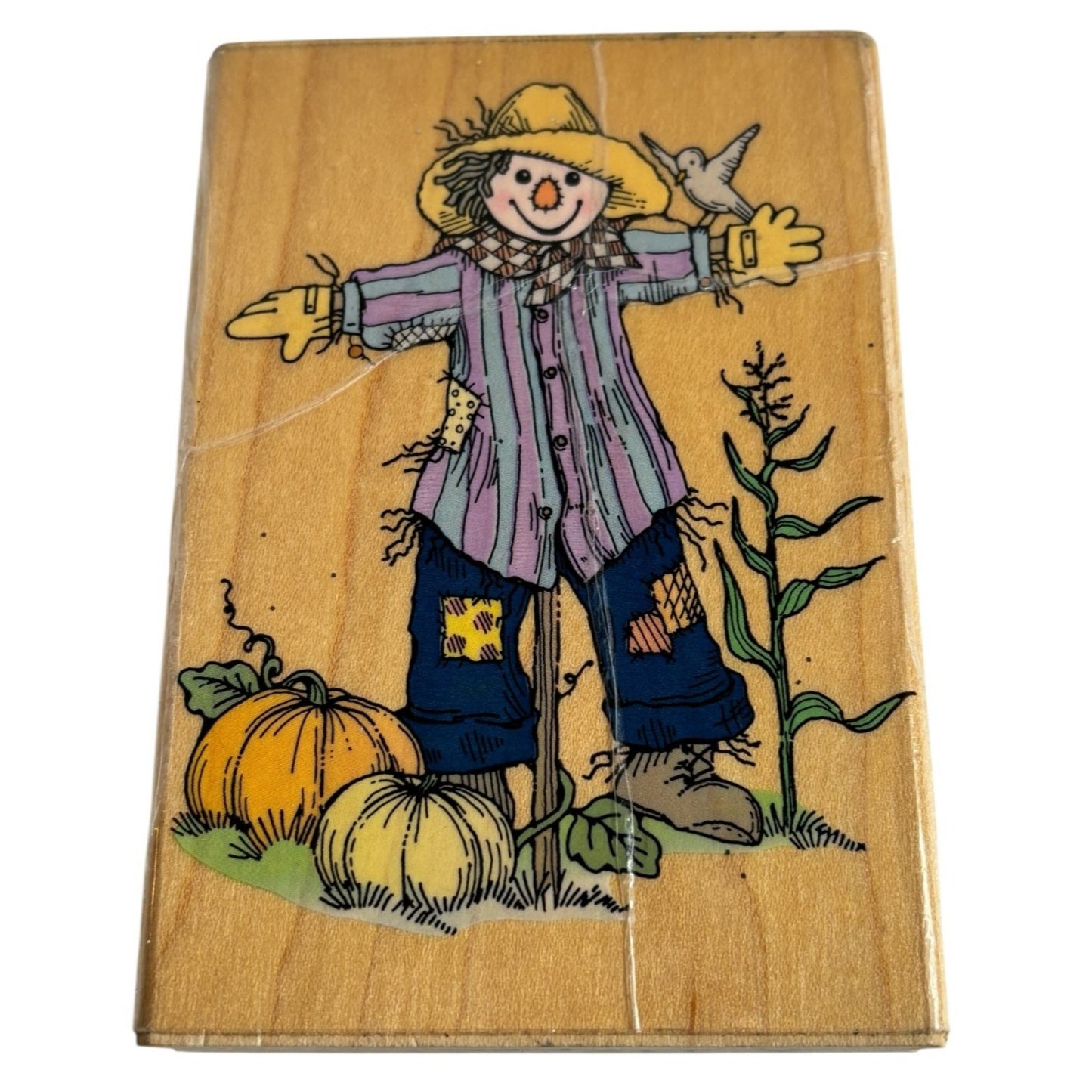 Hero Arts Rubber Stamp Pumpkin Patch Scarecrow Fall Season Garden Farm Corn Bird