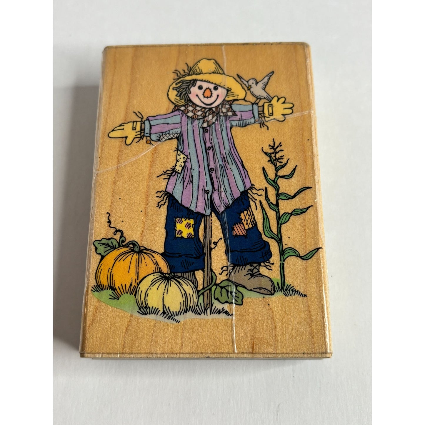 Hero Arts Rubber Stamp Pumpkin Patch Scarecrow Fall Season Garden Farm Corn Bird