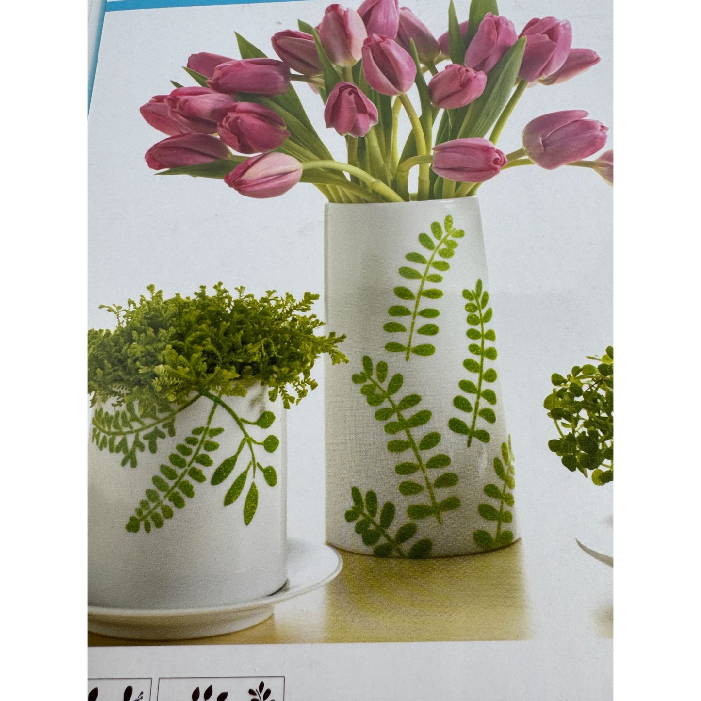 Martha Stewart Crafts Adhesive Stencil Set Leaf Patterns for Curved Surfaces Nut