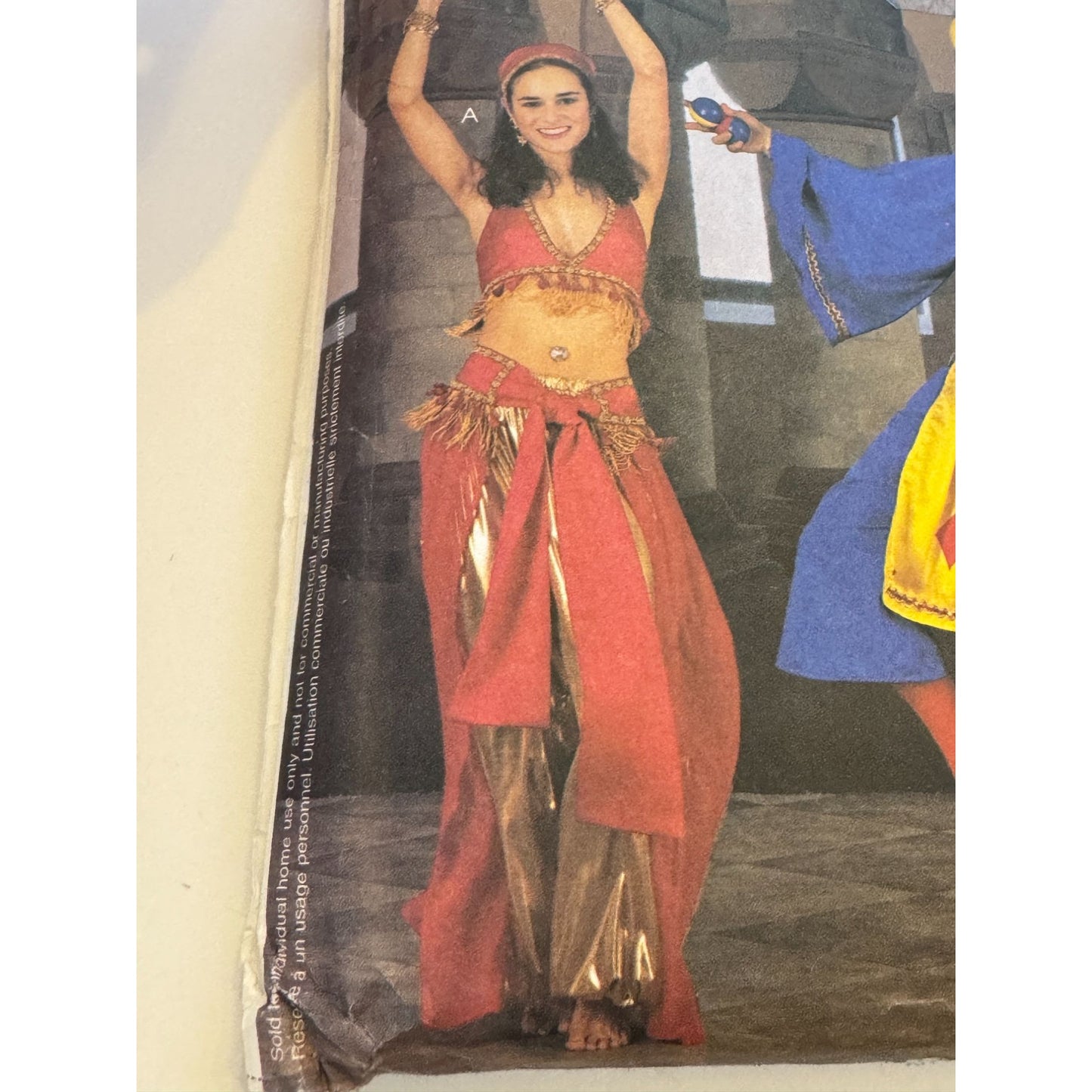 McCalls Sewing Pattern 2814 Jester Belly Dancer Costumes Unisex Teen Adult UC XL