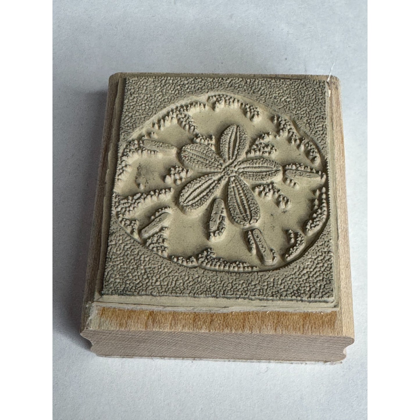 Stampin Up Rubber Stamp Sand Dollar Beach Summer Vacation Seaside Card Making