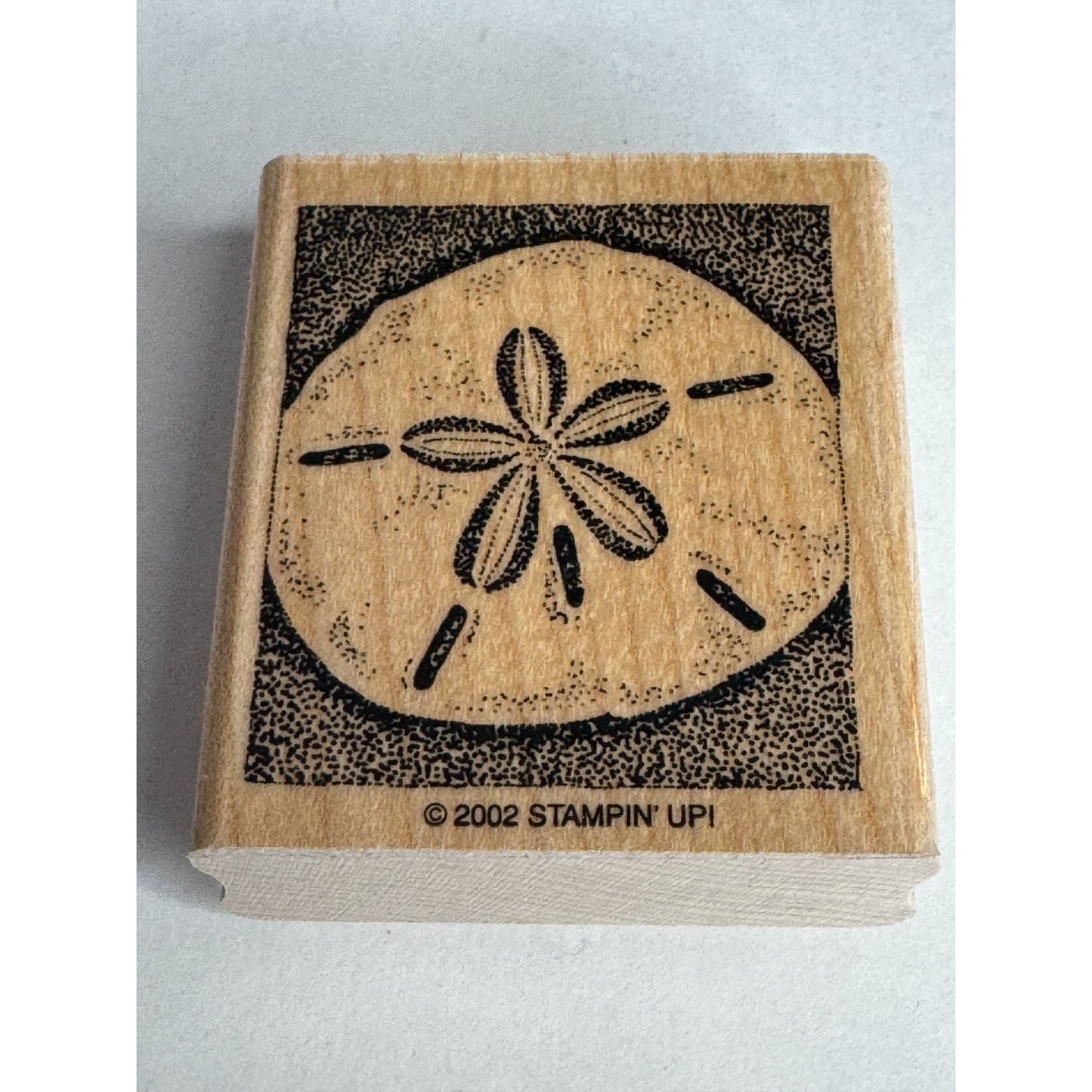 Stampin Up Rubber Stamp Sand Dollar Beach Summer Vacation Seaside Card Making