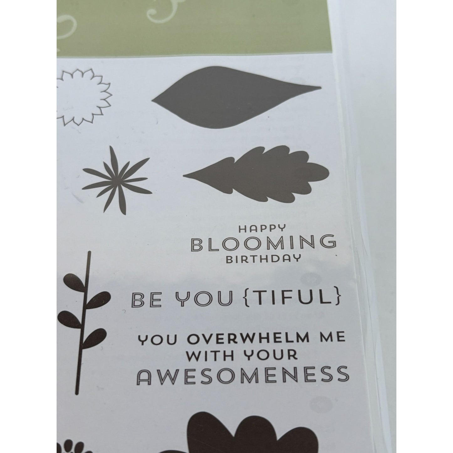 Stampin Up Flower Patch Acrylic Stamp Set Happy Blooming Birthday Be You 2 Step