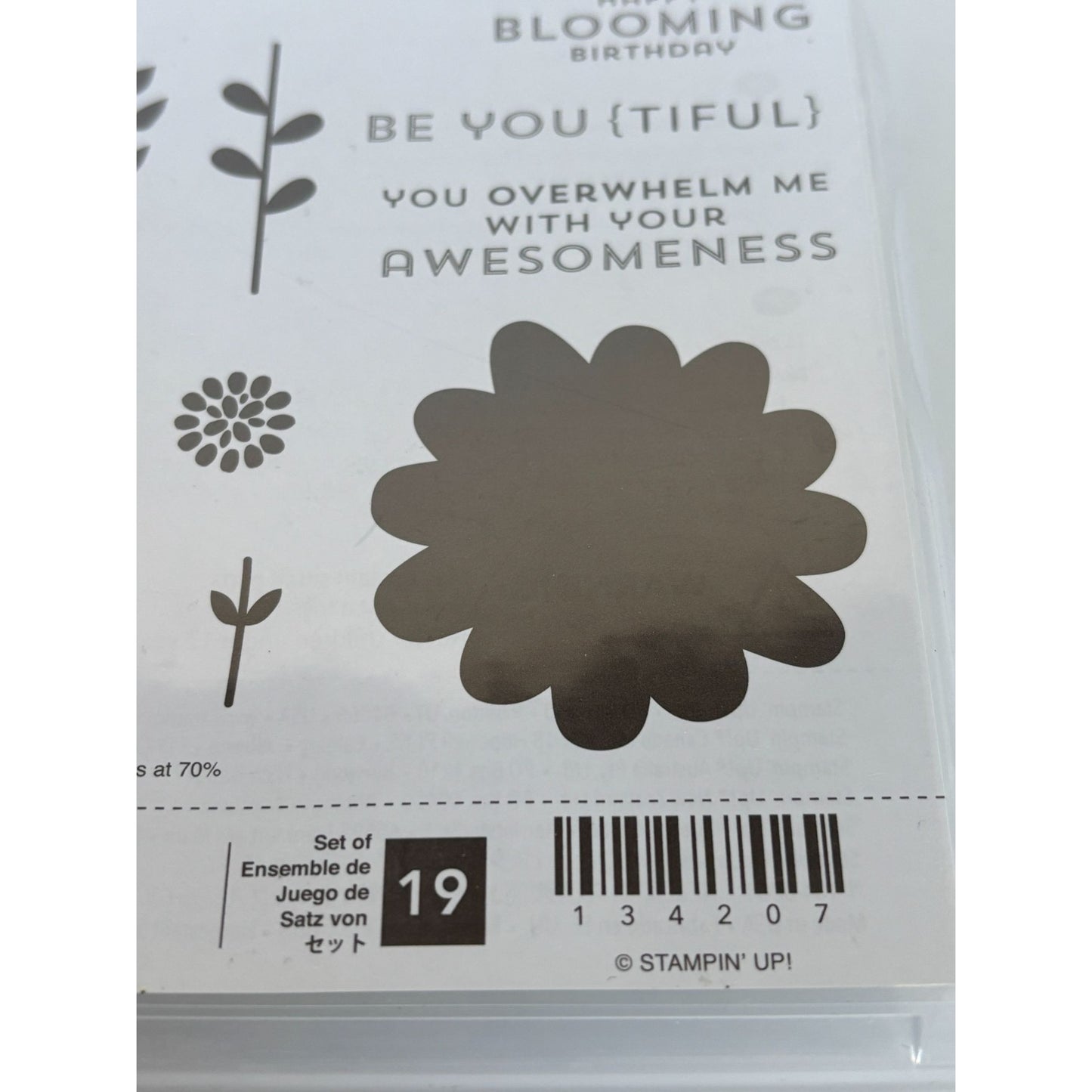 Stampin Up Flower Patch Acrylic Stamp Set Happy Blooming Birthday Be You 2 Step