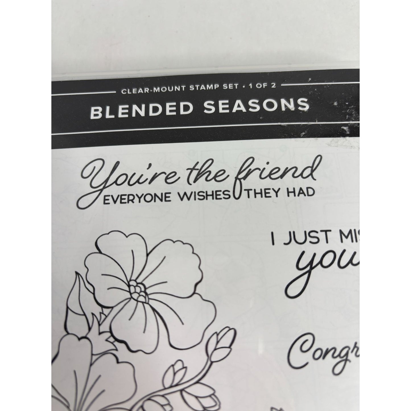 Stampin Up Blended Seasons Clear Mount Stamps Friendship Card Making Miss You