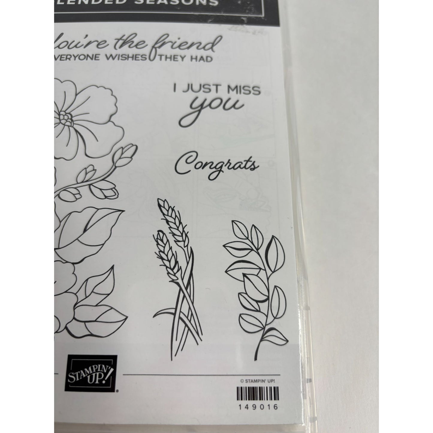 Stampin Up Blended Seasons Clear Mount Stamps Friendship Card Making Miss You