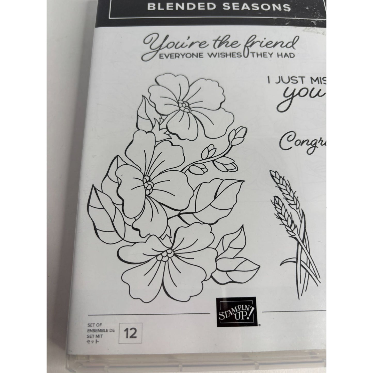 Stampin Up Blended Seasons Clear Mount Stamps Friendship Card Making Miss You