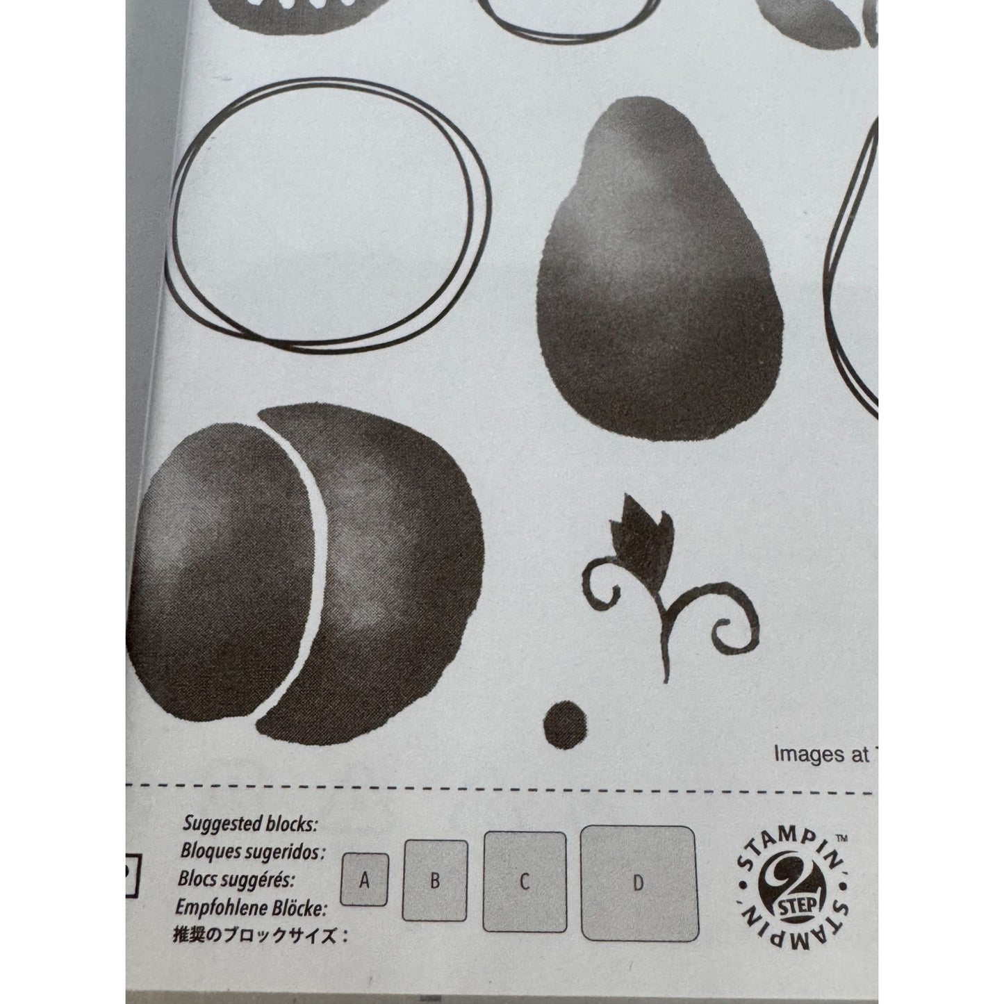 Stampin Up Fresh Fruit Acrylic Stamp Set 24 Card Making Words Strawberry Pear