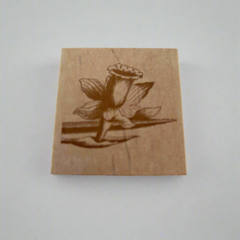 Anna Griffin Rubber Stamp Daffodil Flower Easter Spring Garden All Night Media